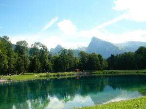 un lago en un parque con montañas al fondo en Ferme Dowena, en Morillon