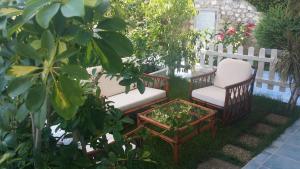 A garden outside Villa Betta
