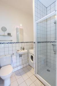 シャモニー・モンブランにあるSummit Apartment - Chamonixのバスルーム(トイレ、洗面台、シャワー付)