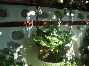 Zahrada ubytování Guest House Planinski Zdravets