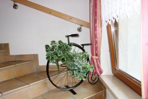 Jazda na bicykli v okolí ubytovania Ferienhaus Inge
