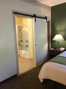 a bedroom with a bed and a bathroom with a shower at Hawthorn Suites by Wyndham Rancho Cordova/Folsom in Rancho Cordova