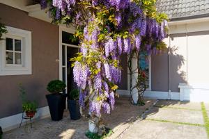 una corona de flores púrpuras colgando de un edificio en Vila de Charme Suítes, en Campos do Jordão