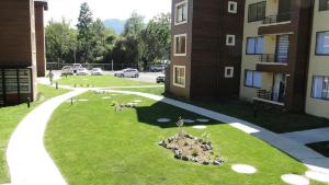a group of birds sitting in the grass next to a building at Departamento Pucon in Pucón +3 photos