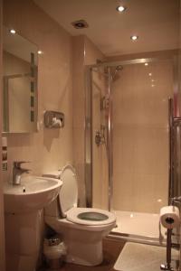 a bathroom with a toilet and a sink and a shower at Sheriff Hotel in London