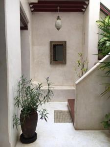 Gallery image of Andavelo House in Lamu
