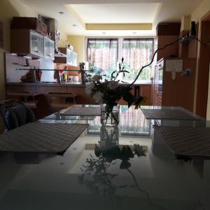 Fotografia z galérie ubytovania Villa Kysucka v Senci
