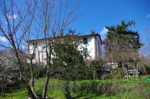 a white house on top of a hill with trees at Ca' di Croso' in Riccò del Golfo di Spezia