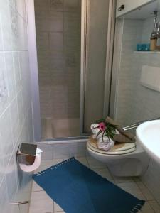 y baño con ducha, aseo y lavamanos. en Apartment "Birgit" Sonnleitn/Nassfeld, en Sonnenalpe Nassfeld