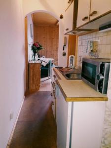 cocina con fregadero y microondas en Apartment "Birgit" Sonnleitn/Nassfeld, en Sonnenalpe Nassfeld