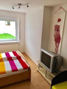 TV a/nebo společenská místnost v ubytování Ferienhaus am Schönberg