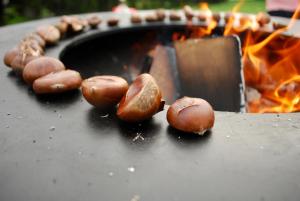 een groep paddenstoelen op een grill met vlammen bij Country House Trata in Kranjska Gora