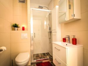 ein Bad mit einer Dusche, einem WC und einem Waschbecken in der Unterkunft Aux bons amis - Parlement/Orangerie in Straßburg