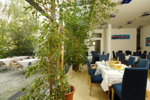 un restaurante con mesas, sillas y macetas en Gästehaus Klinglhuber, en Krems an der Donau