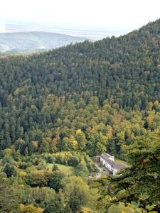 eine Luftansicht eines Hauses inmitten eines Waldes in der Unterkunft Hotel-Spa & Restaurant Logis Domaine Langmatt in Murbach