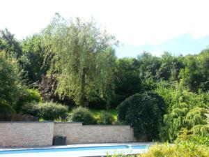 Příroda nedaleko bed and breakfast