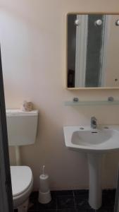 a bathroom with a sink and a toilet and a mirror at Residence Hotel Baia del Sole in Capoliveri