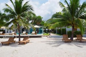 eine Gruppe von Stühlen und Palmen am Strand in der Unterkunft Purin Resort & Restaurant- SHA Plus in Had Yao Beach
