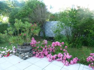 a garden with pink and white flowers and plants at Maison MARYSA in Mérignac