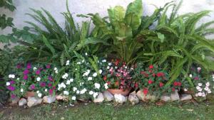 a garden of flowers and plants in a yard at Helen Apartments in Crikvenica