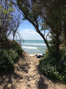 a path to the beach with trees and the ocean at Studio 237 Port Camargue, Piscine, Climatisation, 2 personnes in Le Grau-du-Roi
