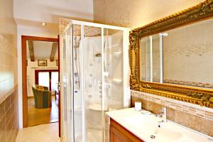 a bathroom with a shower and a sink and a mirror at CA' LEONE - Sans Souci - Apartment with Pool in Mira +29 photos