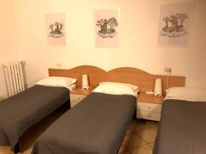 Fotografie z fotogalerie ubytování Hotel Alba v Miláně