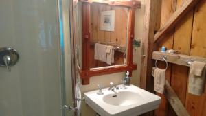 a bathroom with a sink and a shower with a mirror at Lodge at Millstone Hill in Barre