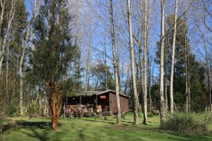 Afbeelding uit fotogalerij van Cabañas Islote Haverbeck in Valdivia