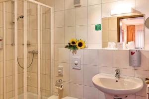 a bathroom with a shower and a sink and a toilet at Hotel Die Kleine Blume in Erfweiler +46 photos