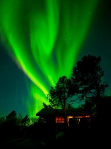 una imagen de la aurora boreal en el cielo en Malangen Lodge en Mestervik