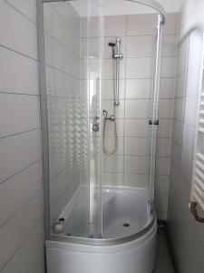 a shower with a glass door in a bathroom at Amma in Braşov +25 photos