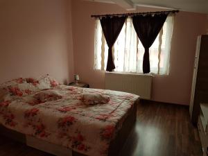 a bedroom with a bed and a window with curtains at Amma in Braşov
