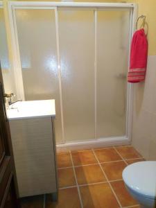 a bathroom with a shower with a sink and a toilet at Los Tobares in Gárgoles de Arriba