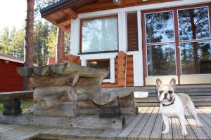 Billede fra billedgalleriet på Hirsimökki ja makuuaitta i Karijoki