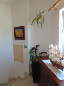 Fotografie z fotogalerie ubytování Apartments Petra v destinaci Biograd na Moru
