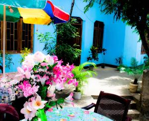 Zahrada ubytování J hostel kandy