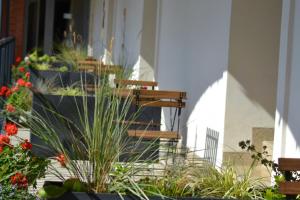 Zahrada ubytování Hotel Antoň