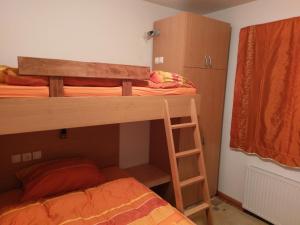 1 Schlafzimmer mit 2 Etagenbetten und einer Leiter in der Unterkunft Cosy apartment in Kranjska Gora