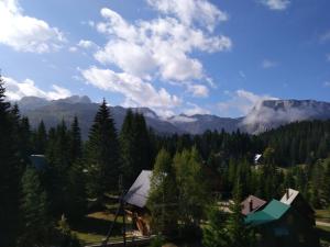 a view of the mountains with a tent and trees at Apartment Durmitor in Žabljak