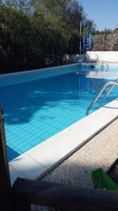 The swimming pool at or close to Tiny House