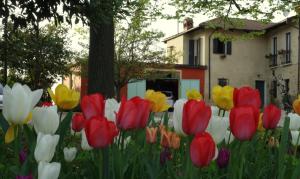 Cascina Alberta外面的花园