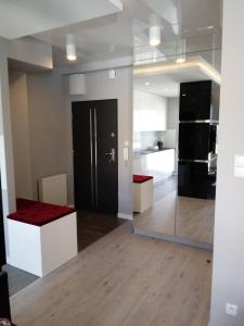 Kuchnia lub aneks kuchenny w obiekcie Apartament na Złotej