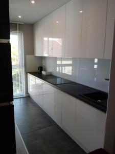 Kuchnia lub aneks kuchenny w obiekcie Apartament na Złotej