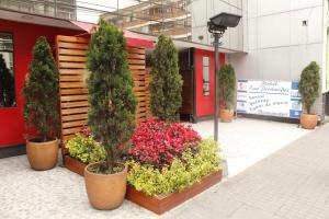 a group of potted plants and flowers in front of a building at Motel Piramides De Cristal in Bogotá