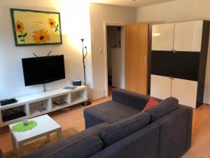 Apartments Essen-Rüttenscheid في إيسن: غرفة معيشة مع أريكة وتلفزيون