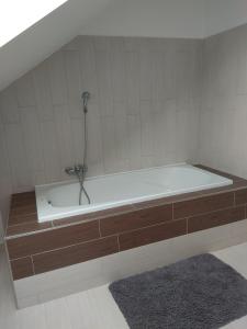Kúpeľňa v ubytovaní apartmány pod lesem