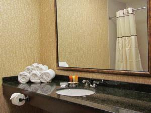 a bathroom with a sink and a mirror and towels at Canaan Valley Resort State Park in Davis