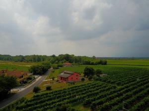 an aerial view of a vineyard with a red house and a farm at Aganis in Casarsa della Delizia