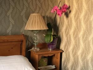 einem Tisch mit einer Lampe und einer Vase mit einer Blume darauf in der Unterkunft Garden Bank Cottage in Kelso